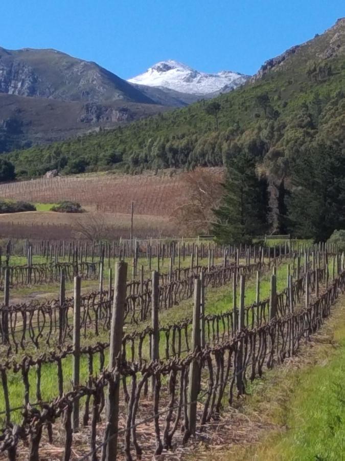 L'Auberge Chanteclair Franschhoek Buitenkant foto