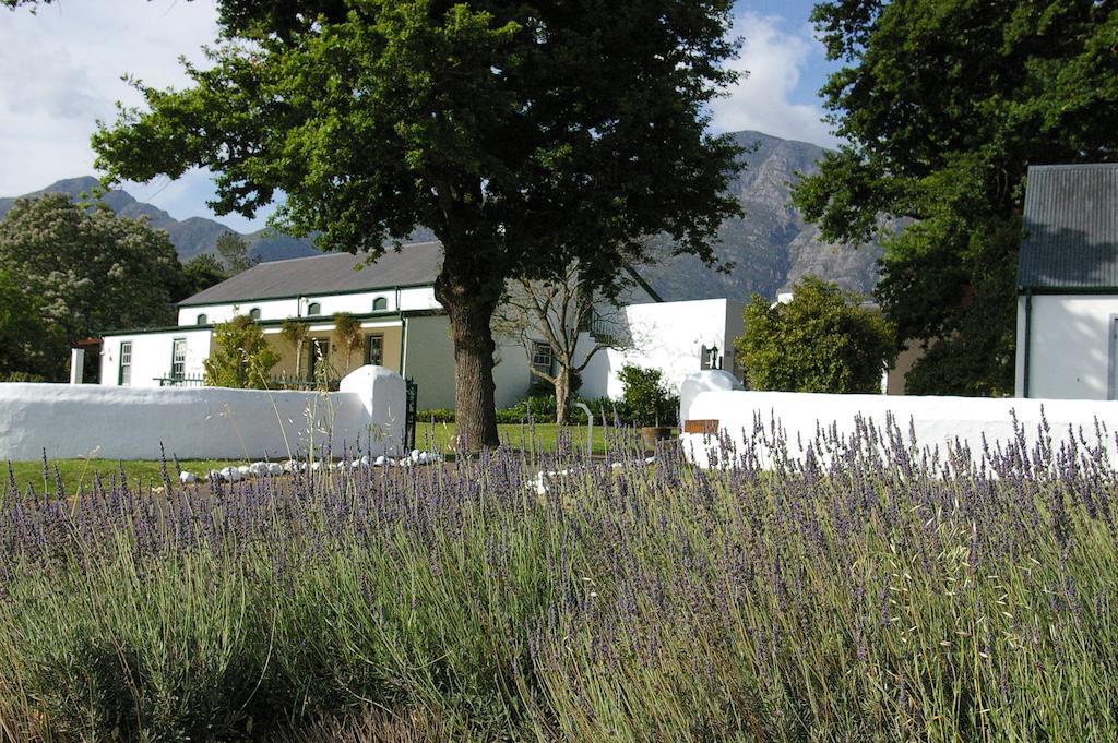 L'Auberge Chanteclair Franschhoek Buitenkant foto